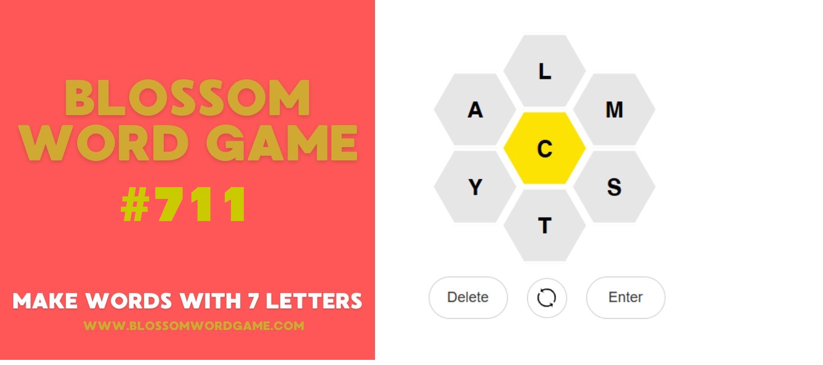 Blossom Word Game 711